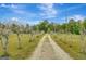 Gravel driveway leading through a wooded area at 115 Bernhard Rd, Fayetteville, GA 30215