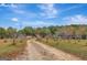 Gravel driveway leading to a home, surrounded by trees and greenery at 115 Bernhard Rd, Fayetteville, GA 30215