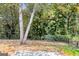 Backyard with mature trees and privacy fence at 138 Michelle Dr, Mcdonough, GA 30252