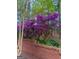 Vibrant purple azaleas add curb appeal at 1473 Mahogany Chse, Acworth, GA 30101