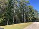 Wooded lot with road frontage, offering a peaceful setting at 1500 Pine Forest Rd, Mansfield, GA 30055