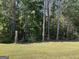 Wooded backyard with tall pines and green grass at 1500 Pine Forest Rd, Mansfield, GA 30055