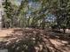 Wooded area with natural foliage and shadows at 1500 Pine Forest Rd, Mansfield, GA 30055
