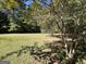 Spacious backyard with lush green grass and mature trees at 1500 Pine Forest Rd, Mansfield, GA 30055