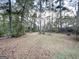 Large backyard with mature trees and grassy area at 7125 Rhodes St, Lithonia, GA 30058