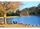 Tranquil lakeside scene with geese and autumn leaves at 12021 Scottish Ct, Fayetteville, GA 30215