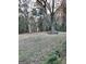 Wooded backyard with overgrown grass at 43 Thurman Rd, Stockbridge, GA 30281