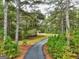 Long paved driveway winding through a lush, wooded landscape at 1064 Highway 20 E, Mcdonough, GA 30252