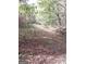 A path leads into a lush, wooded area with mature trees at 2193 Hiram Douglasville Hwy, Hiram, GA 30141