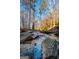 Peaceful creek flowing through a wooded area at 745 Woodscape Trl, Johns Creek, GA 30022