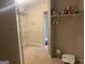 Walk-in closet with wire shelving and carpeted flooring at 3003 Canter Way, Duluth, GA 30097