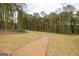 Paved walking path meandering through the community's green space at 1304 Speckle Park Way, Stockbridge, GA 30281
