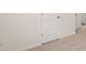 Carpeted hallway with white doors and white trim at 671 Edgar St, Hampton, GA 30228