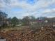 Overgrown lot offering a glimpse of nearby houses and businesses at 2004 Joseph E Boone Nw Blvd, Atlanta, GA 30314