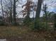Wooded lot with a view of a residential street beyond the trees at 2004 Joseph E Boone Nw Blvd, Atlanta, GA 30314