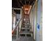 Unfinished staircase leading to the upper level at 2004 Joseph E Boone Nw Blvd, Atlanta, GA 30314