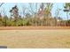 Wooded lot with cleared area, ready for new construction at 115 Grace Hope Dr, Brooks, GA 30205