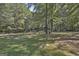 Large backyard with grassy area and surrounding trees at 365 Pendleton Trl, Tyrone, GA 30290