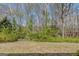 Wooded acreage with lush green space at 1431 Chambers Rd, Mcdonough, GA 30253