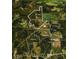 Aerial view of 82 acres with house, near school and acreage details at 183 Madden Rd, Bowdon, GA 30108