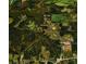 Aerial view showing property, dirt bike trail, and school proximity at 183 Madden Rd, Bowdon, GA 30108