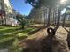 Large backyard with tire swing, greenhouse, and mature trees at 976 Buckhorn Bnd, Locust Grove, GA 30248