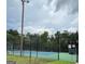 Tennis courts with surrounding fence and trees at 1129 River Green Ct, Mcdonough, GA 30252