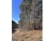 Wooded lot with a clear view of the land at 779 Dial Mill Rd, Oxford, GA 30054