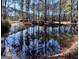 Serene pond reflecting the home and trees at 779 Dial Mill Rd, Oxford, GA 30054