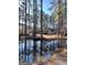 Tranquil pond view of home with lush trees at 779 Dial Mill Rd, Oxford, GA 30054