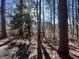 Wooded area behind the house showcasing natural beauty at 779 Dial Mill Rd, Oxford, GA 30054