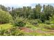 Lush garden with various plants and fruit trees at 2398 Maddox Rd, Buford, GA 30519