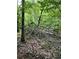 Image shows a wooded area with fallen trees and lush undergrowth at 4144 Janice Dr, Atlanta, GA 30337