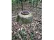 Image shows a utility access point in a wooded area at 4144 Janice Dr, Atlanta, GA 30337