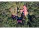 Aerial view showcasing a large home, outbuildings, and surrounding wooded area at 1785 Whitley Rd, Dacula, GA 30019