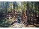 Long driveway leading to a home nestled in a wooded area at 1785 Whitley Rd, Dacula, GA 30019