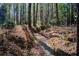 Picturesque creek running through the property's wooded area at 1785 Whitley Rd, Dacula, GA 30019
