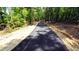 Paved walking trail winding through a wooded area at 600 Silver Moon Dr # 08, Loganville, GA 30052