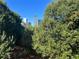 City skyline view partially seen through lush green trees at 385 Ralph Mcgill Ne Blvd # Q, Atlanta, GA 30312