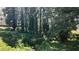 View of an overgrown lot with mature trees and lush vegetation at 3483 Conley St, College Park, GA 30337