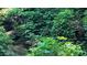 Image shows a lush creek running through the property at 3483 Conley St, College Park, GA 30337