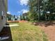 Spacious backyard with new sod and privacy trees at 29 Riverbirch Ct, Dallas, GA 30157