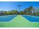 Well-maintained tennis courts with ample space and modern lighting at 29 Riverbirch Ct, Dallas, GA 30157