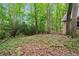 Private wooded area with lush greenery and natural beauty at 3231 Camp Branch Cir, Buford, GA 30519