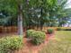 Landscaped backyard with mature trees, wooden fence, and pine straw at 923 Buckhorn Bnd, Locust Grove, GA 30248