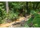Serene creek running through lush greenery at 3651 Chandler Haulk Rd, Loganville, GA 30052