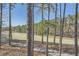View of backyard with trees and golf course at 4215 Tattnall Run, Acworth, GA 30101