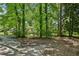Wooded backyard with a long driveway, offering a secluded setting at 1886 S Gordon Sw St, Atlanta, GA 30310