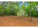 View of backyard with wooded area and distant house at 1068 N Main Nw St, Conyers, GA 30012