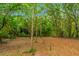 Wooded backyard area with leaf-covered ground at 1068 N Main Nw St, Conyers, GA 30012
